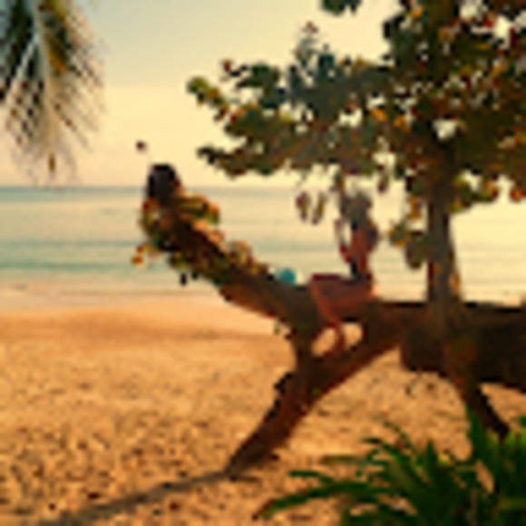 Meet your Posher, Anna - Picture 1 of 1